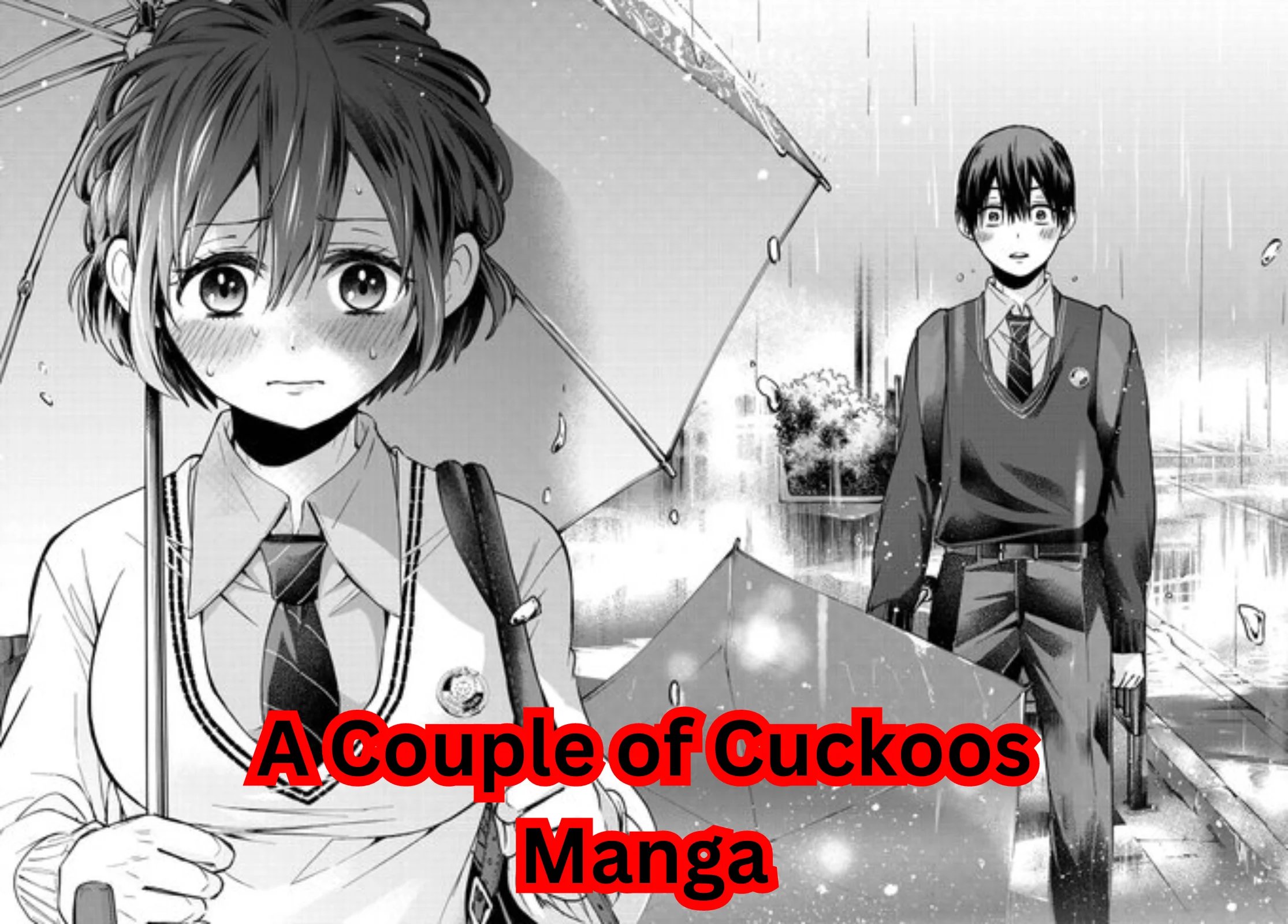 A Couple of Cuckoos Manga